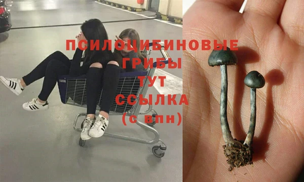 кокаин премиум Сосновый Бор